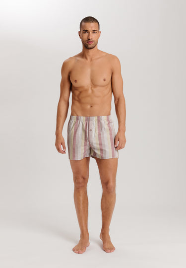 Fancy Woven Boxer | Bluewood Stripe 74013-3019